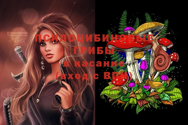 ГАЛЛЮЦИНОГЕННЫЕ ГРИБЫ Володарск