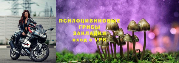 ГАЛЛЮЦИНОГЕННЫЕ ГРИБЫ Володарск